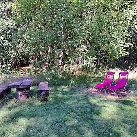 Ferienhaus Rehblick - Direkt In Der Natur, Mit Lesezimmer Und Zwei Terrassen Friedrichroda Exterior foto