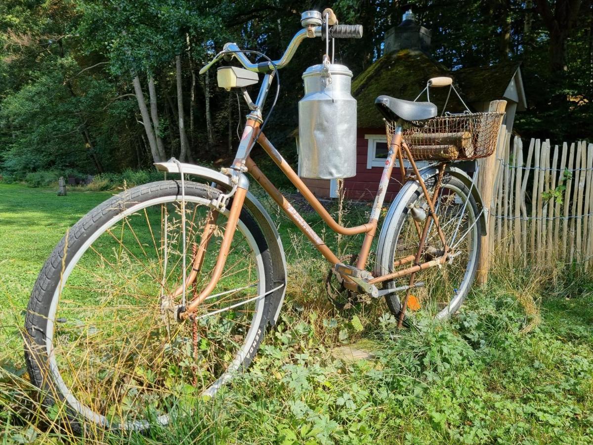 Ferienhaus Rehblick - Direkt In Der Natur, Mit Lesezimmer Und Zwei Terrassen Friedrichroda Exterior foto