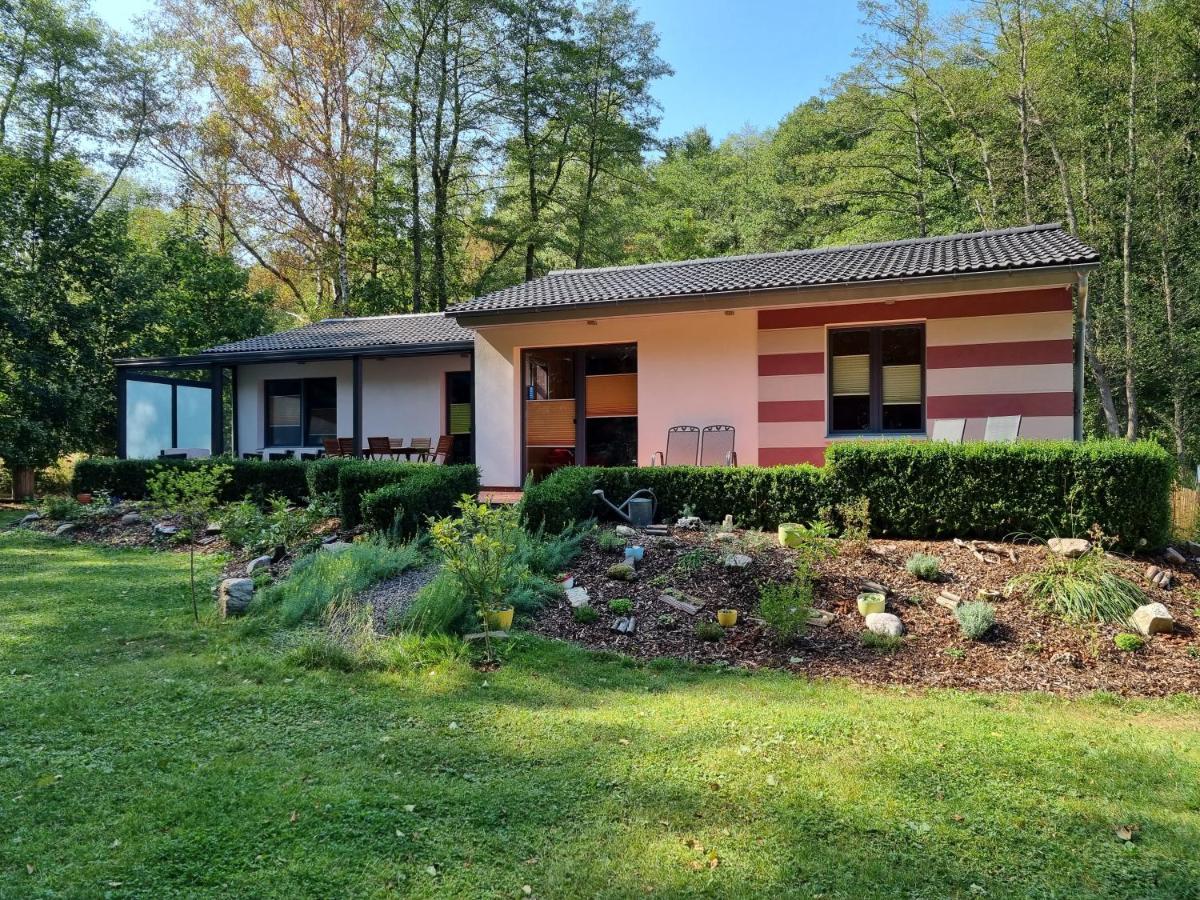 Ferienhaus Rehblick - Direkt In Der Natur, Mit Lesezimmer Und Zwei Terrassen Friedrichroda Exterior foto