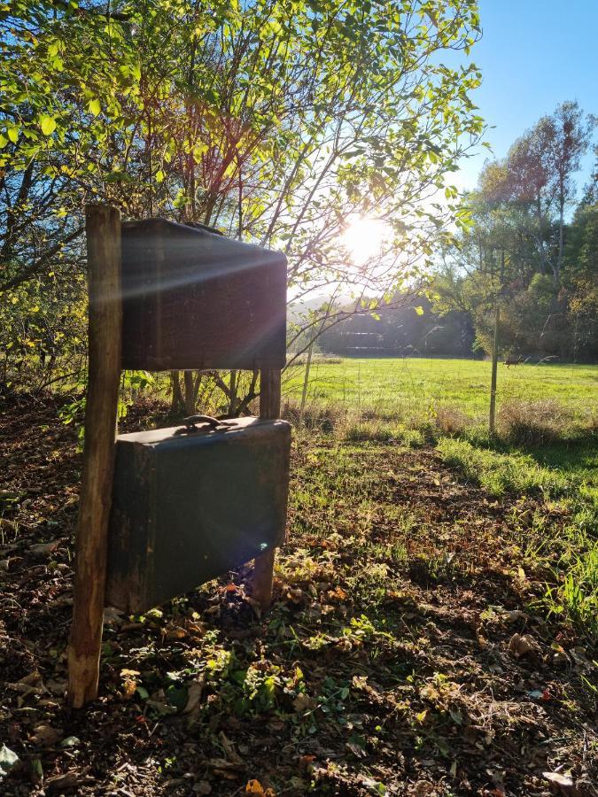 Ferienhaus Rehblick - Direkt In Der Natur, Mit Lesezimmer Und Zwei Terrassen Friedrichroda Exterior foto