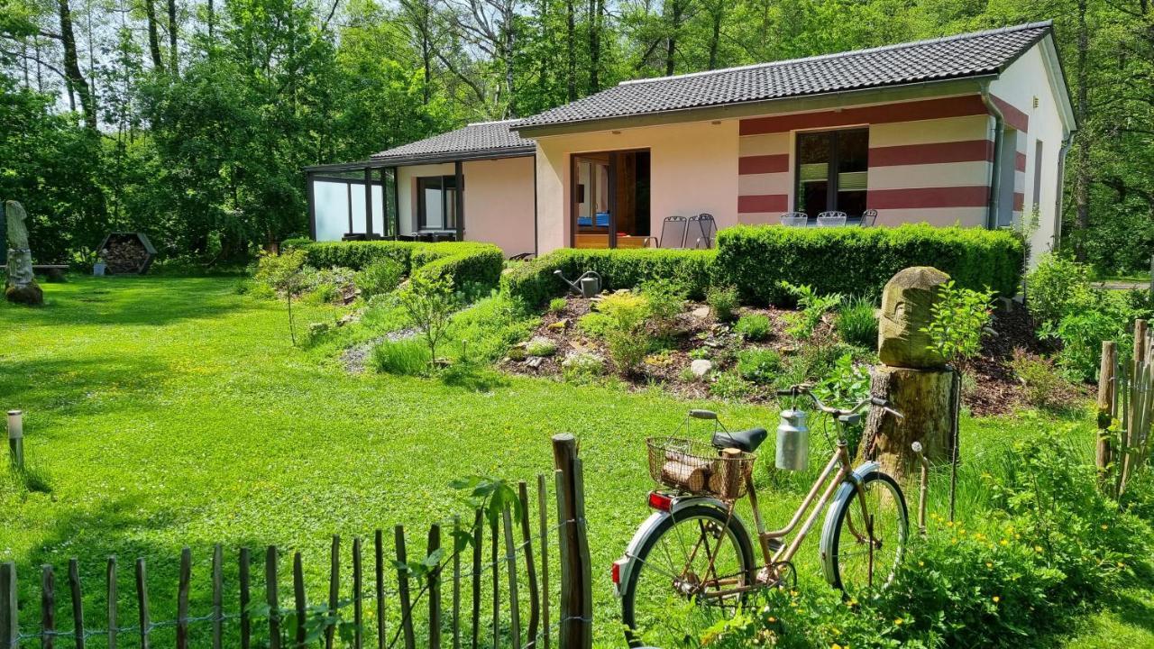 Ferienhaus Rehblick - Direkt In Der Natur, Mit Lesezimmer Und Zwei Terrassen Friedrichroda Exterior foto