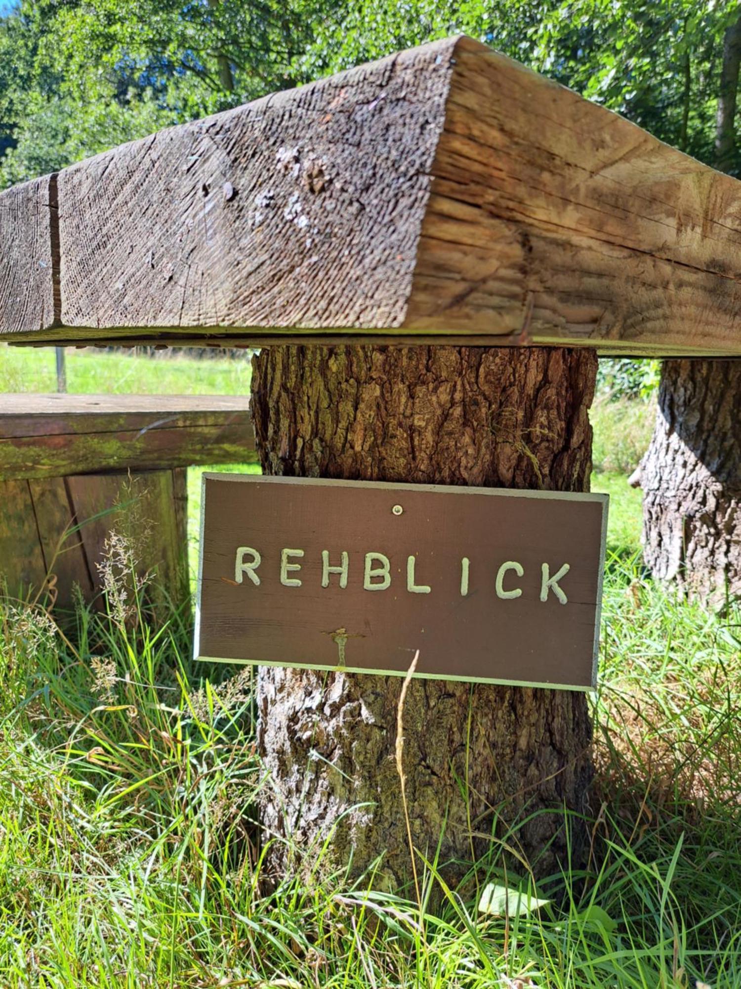 Ferienhaus Rehblick - Direkt In Der Natur, Mit Lesezimmer Und Zwei Terrassen Friedrichroda Exterior foto